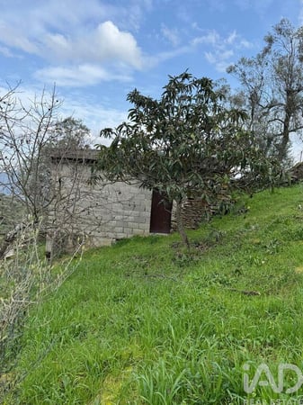 Land in Tabuaco - view 1