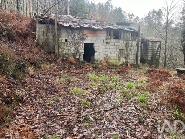 Land in Sao Felix - view 1