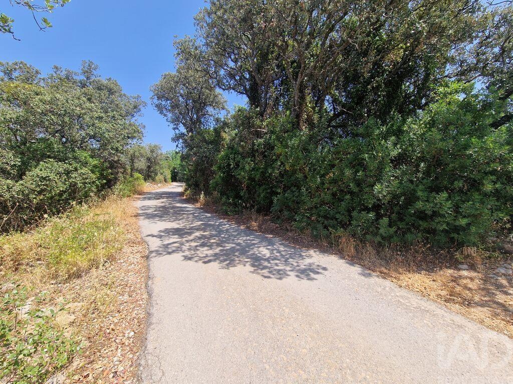 Land in Santa Barbara de Nexe - Image 2