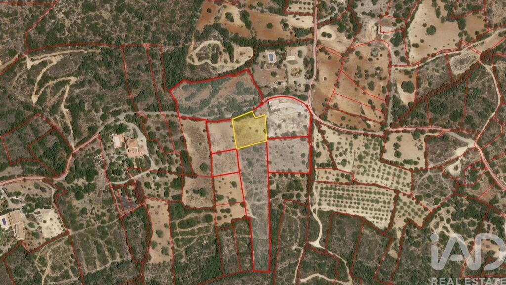 Land in Santa Barbara de Nexe