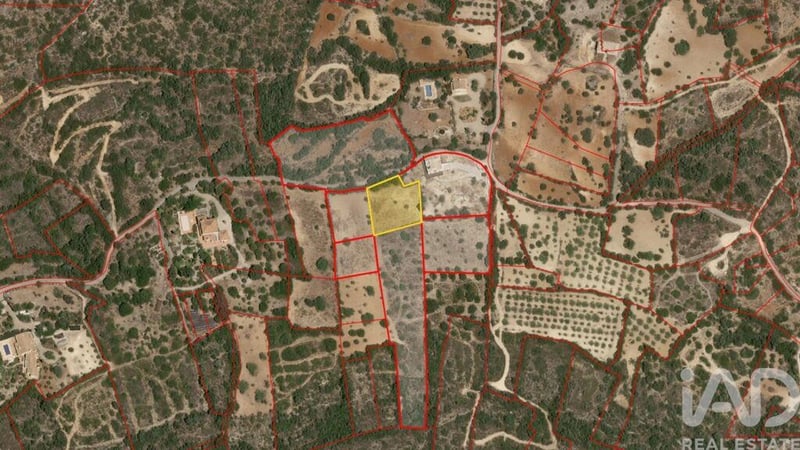 Land in Santa Barbara de Nexe - view 1