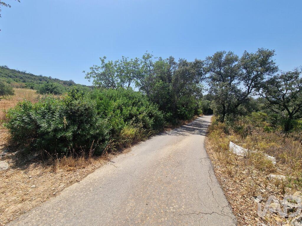 Land in Santa Barbara de Nexe - Image 3
