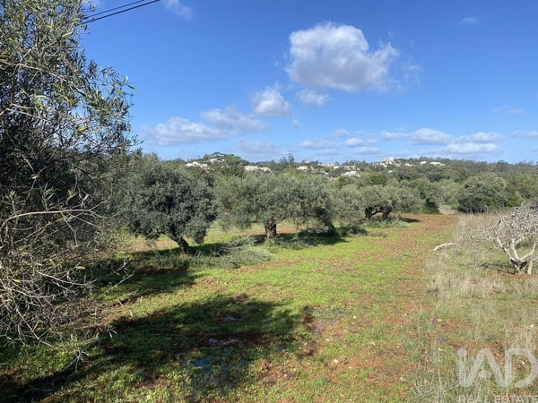 Land in Sao Bras de Alportel - view 1