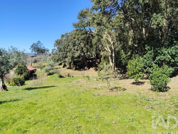 Land in Pedrogao Pequeno - view 1