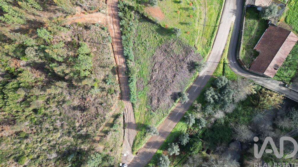 Land in Miranda do Corvo - Image 2