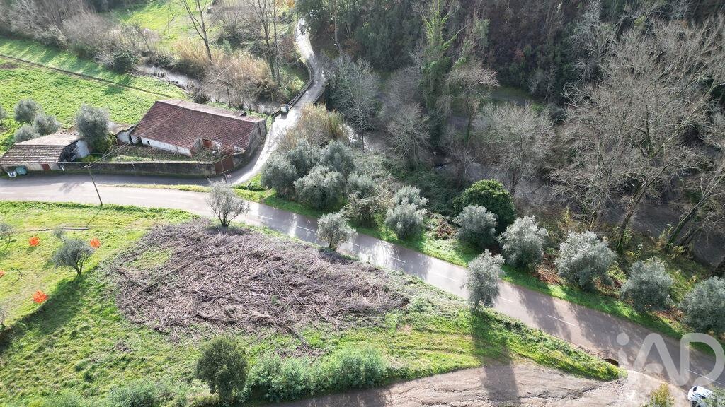 Land in Miranda do Corvo - Image 3