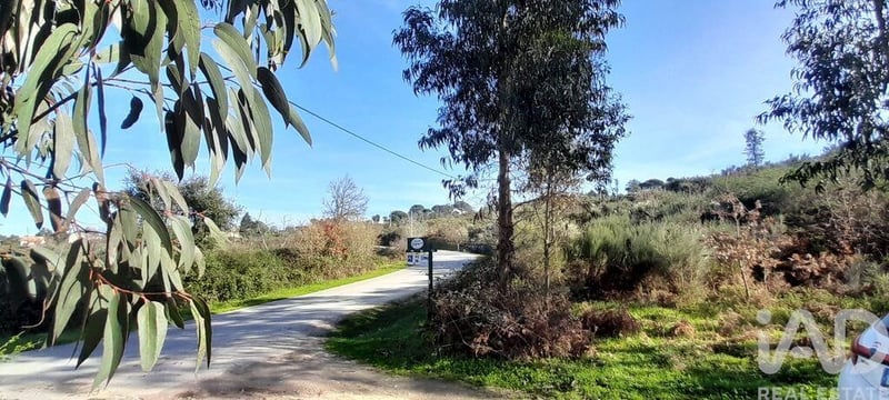 Land in Sao Paio de Gramacos - view 1