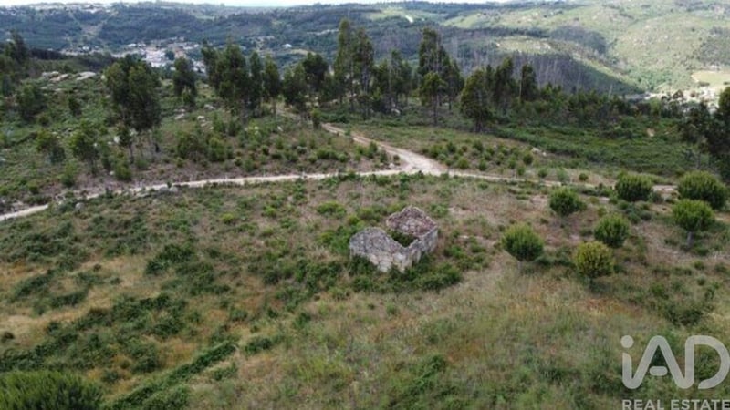 Land in Seixo da Beira - view 1