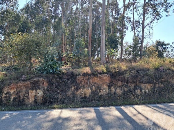 Land in Ortigosa - view 1