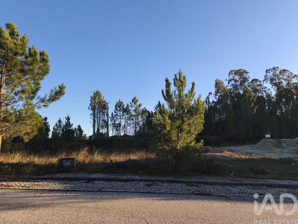 Land in Ansiao - view 1