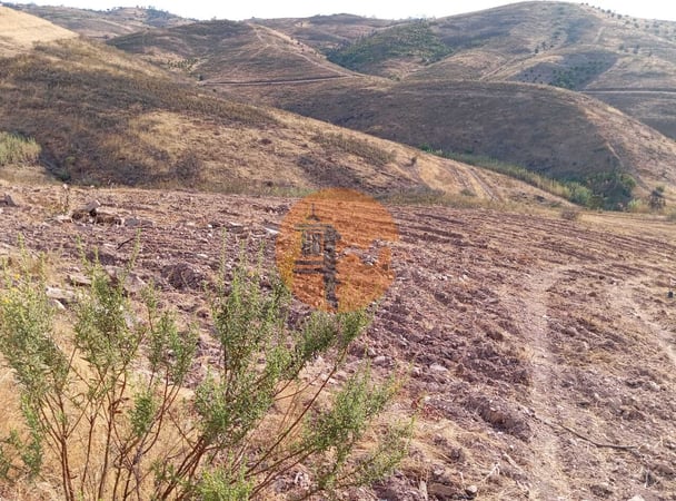 Land in Conceicao - view 1