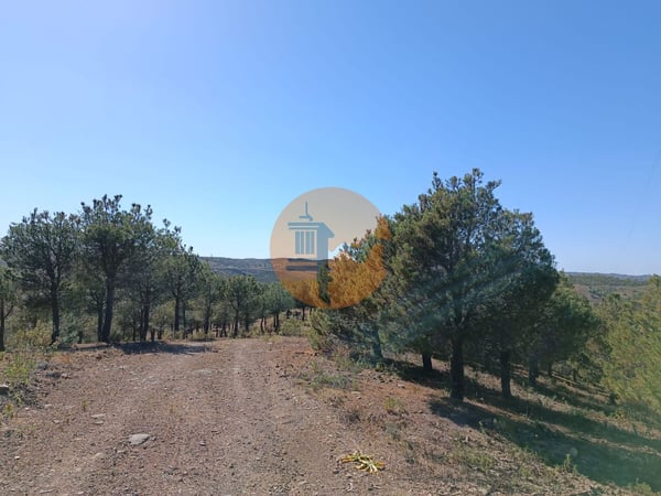 Land in Castro Marim - view 1
