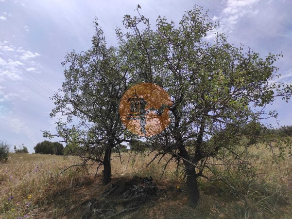 Land in Castro Marim - view 1