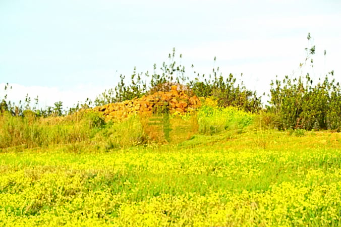 Land in Tavira - view 1