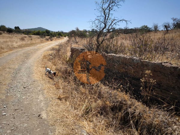 Land in Alcoutim - view 1