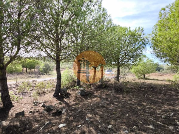 Land in Alcoutim - view 1
