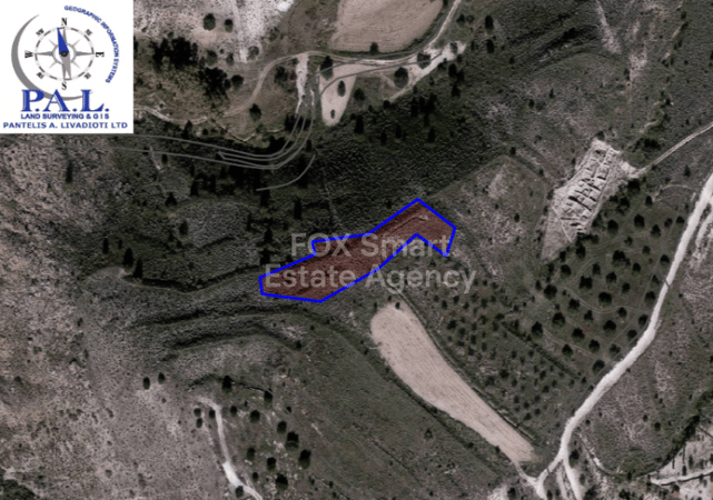 Land in Alampra - view 1