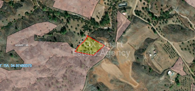 Land in Alampra - view 1