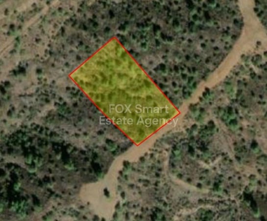 Land in Lythrodontas - view 1