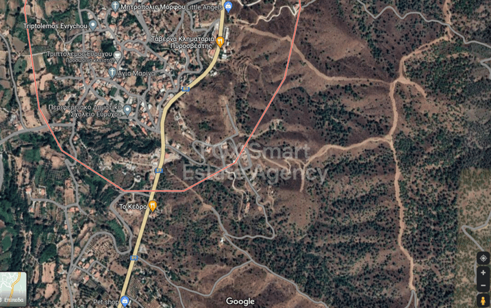 Land in Evrychou - view 1