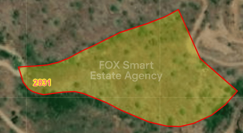 Land in Evrychou - view 1