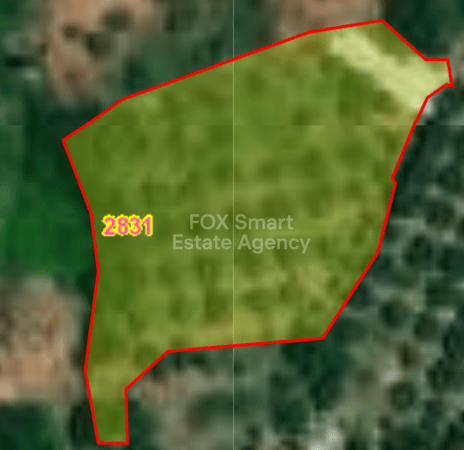 Land in Evrychou - view 1