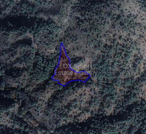 Land in Mylikouri - view 1