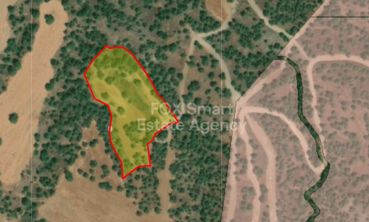 Land in Kato Koutrafas - view 1