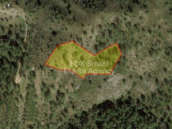 Land in Gourri - view 1