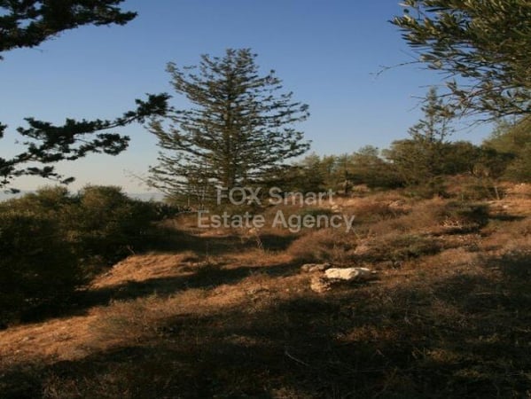 Land in Mitsero - view 1