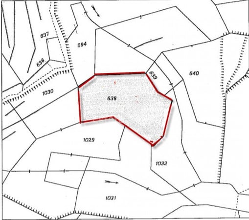 Land in Kapedes - view 1