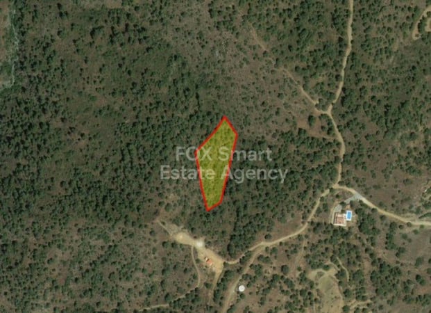 Land in Kapedes - view 1