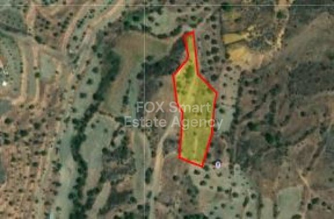 Land in Kapedes - view 1