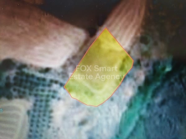 Land in Kalo Chorio (Oreinis) - view 1