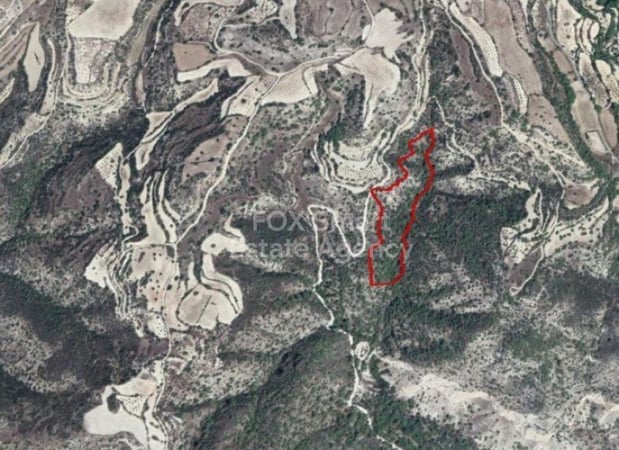 Land in Amargeti - view 1