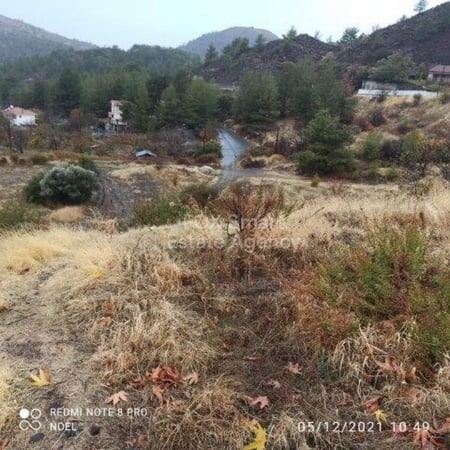 Land in Mandria - view 1