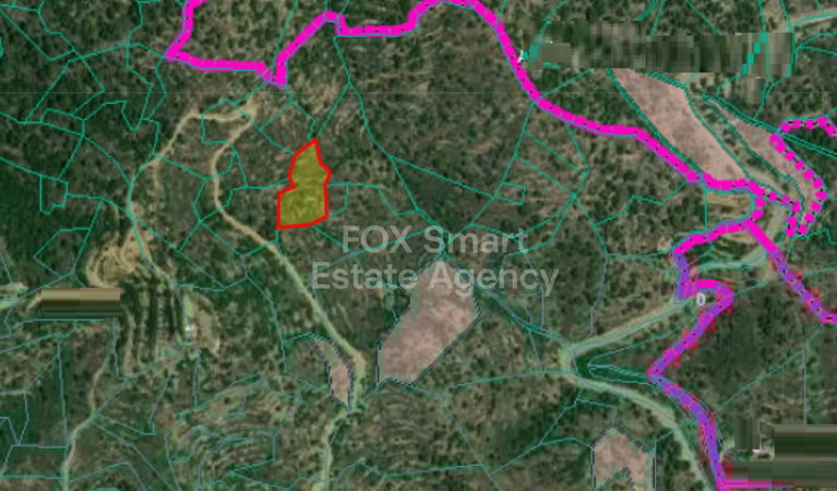 Land in Zoopigi - view 1