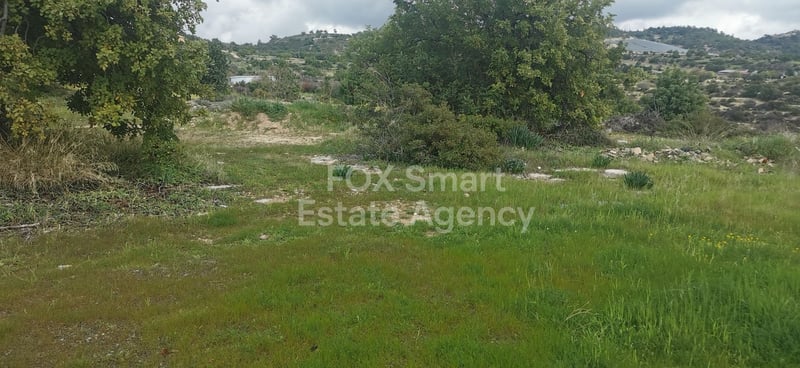 Land in Agridia - view 1