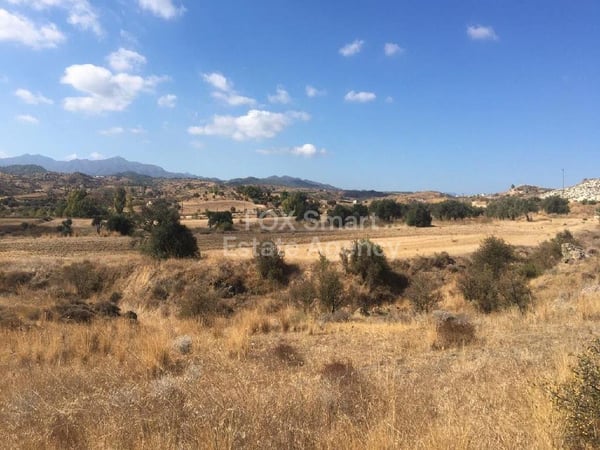 Land in Analiontas - view 1