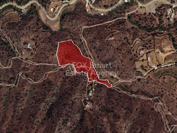 Land in Kalo Chorio (Oreinis) - view 1