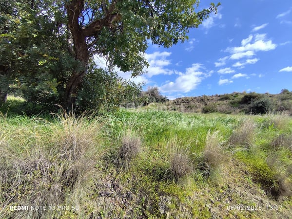 Land in Asgata - view 1