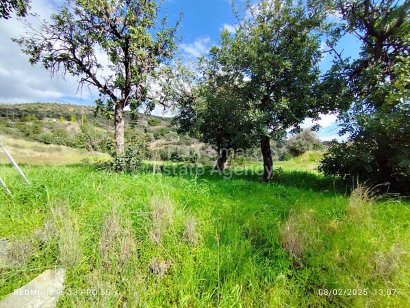 Land in Asgata - view 1