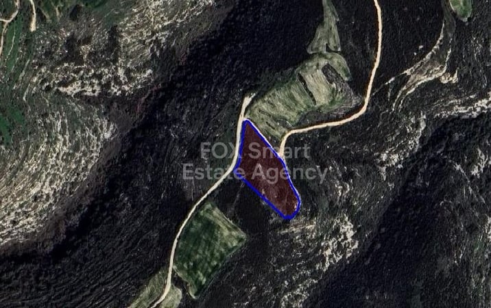 Land in Pano Arodes - view 1