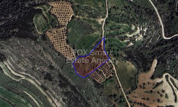 Land in Tera - view 1