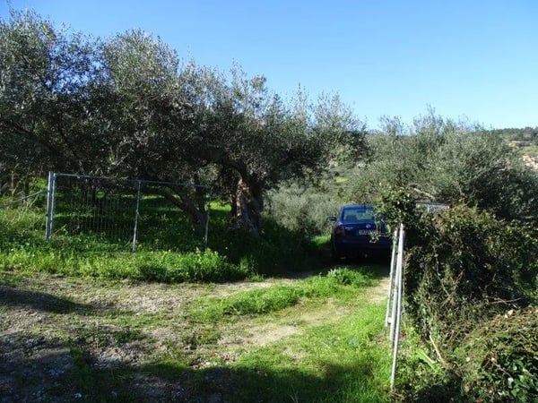 Land in Pemonia - view 1