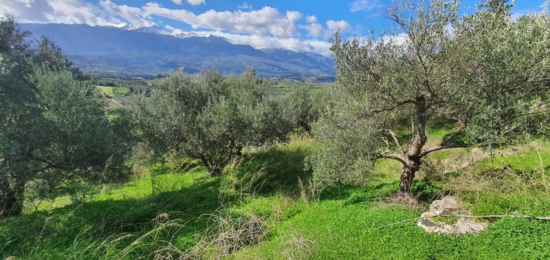 Land in Kalamitsi Amygdali - view 1