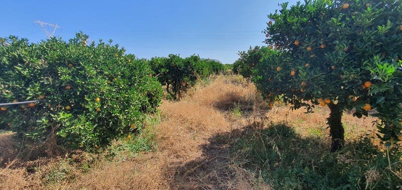 Land in Stylos - view 1