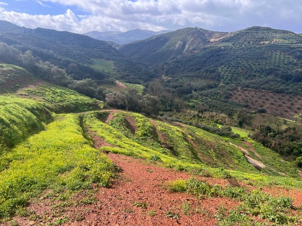 Land in Manoliopoulo - view 1