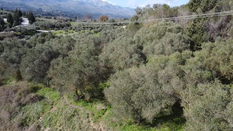 Land in Vafes - view 1