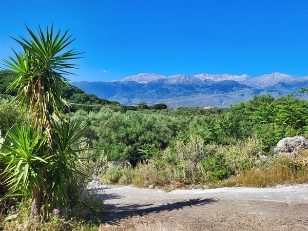 Land in Kaina - view 1